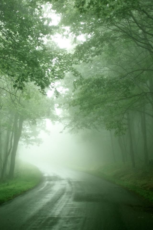 640x960 Forest Mist - mist iPhone 4s Wallpaper