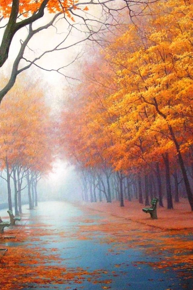 640x960 Autumn Road - branch iPhone 4s Wallpaper