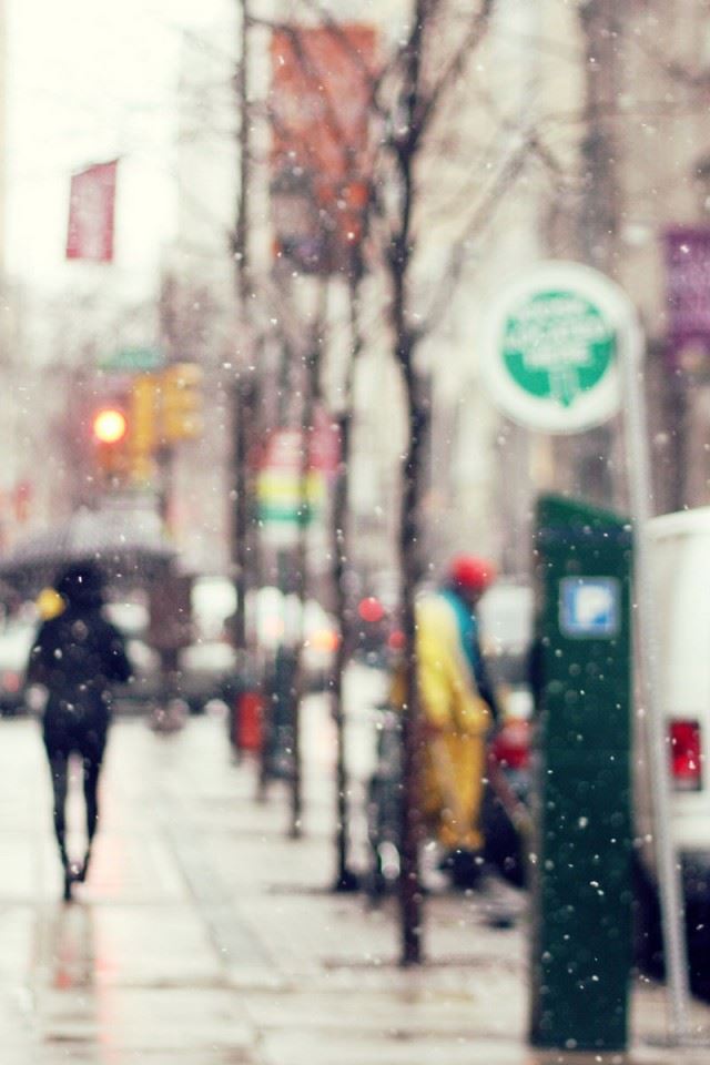 640x960 Rainy Street - tree iPhone 4s Wallpaper