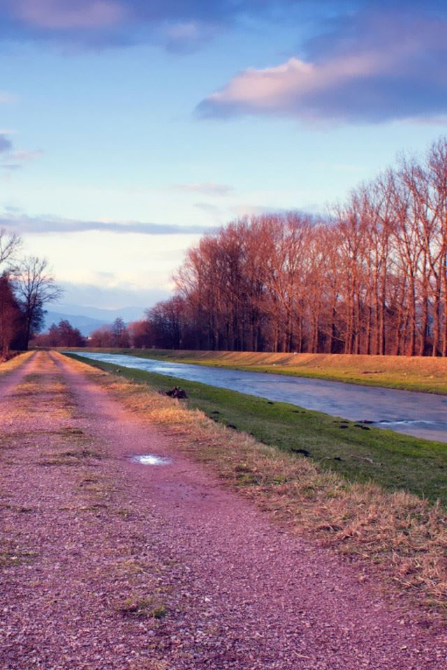 640x960 Riverside Road - tree iPhone 4s Wallpaper