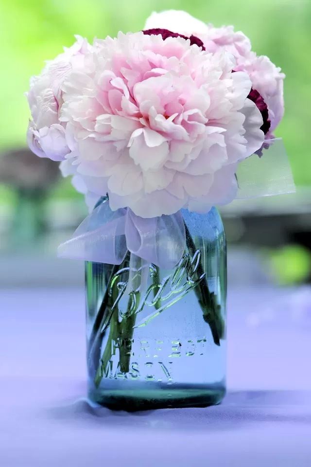 640x960 Hibiscus Flower - flower iPhone 4s Wallpaper