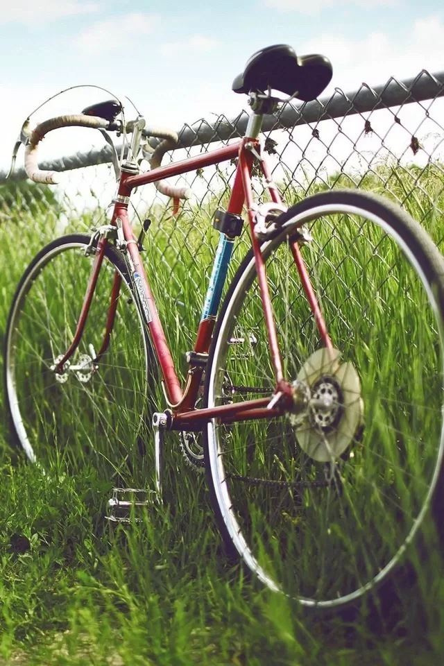 640x960 Bike - bike iPhone 4s Wallpaper