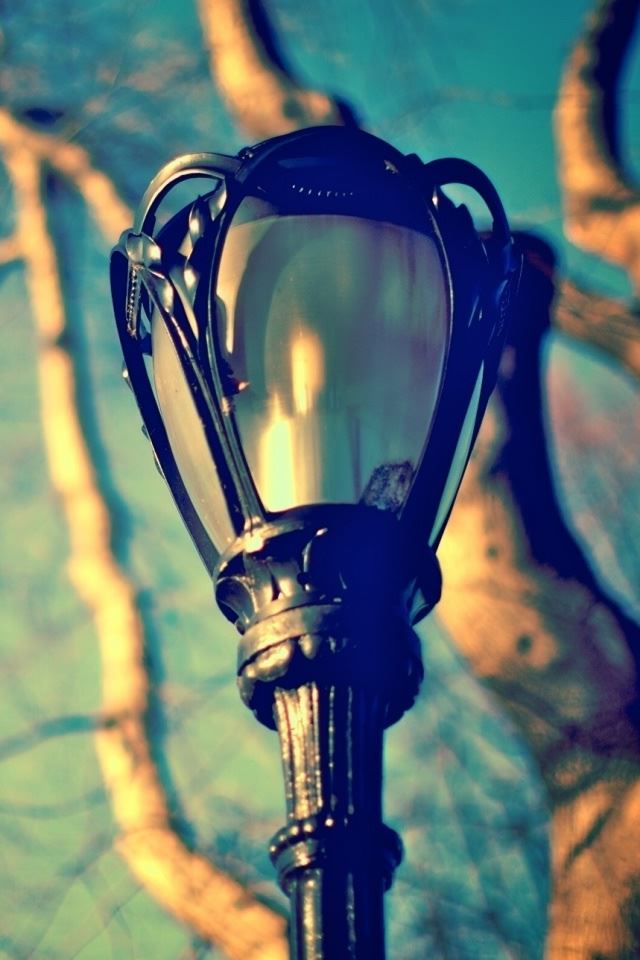 640x960 Street Lamp - branch iPhone 4s Wallpaper