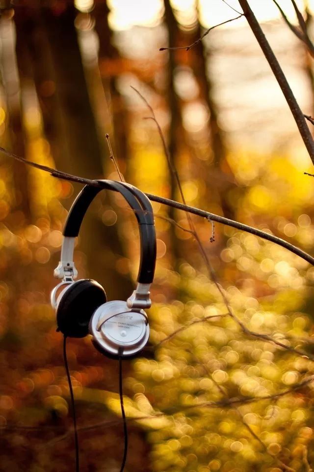 640x960 Headset - tree iPhone 4s Wallpaper