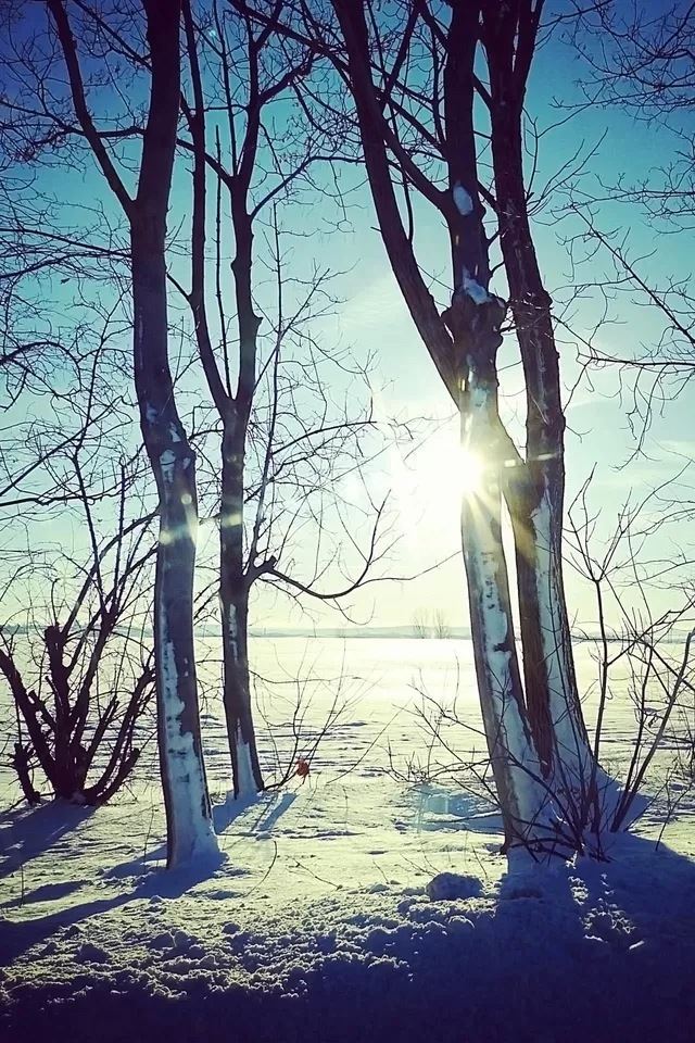 640x960 Snow sun - sun iPhone 4s Wallpaper