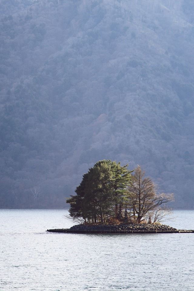 640x960 Lake island - tree iPhone 4s Wallpaper