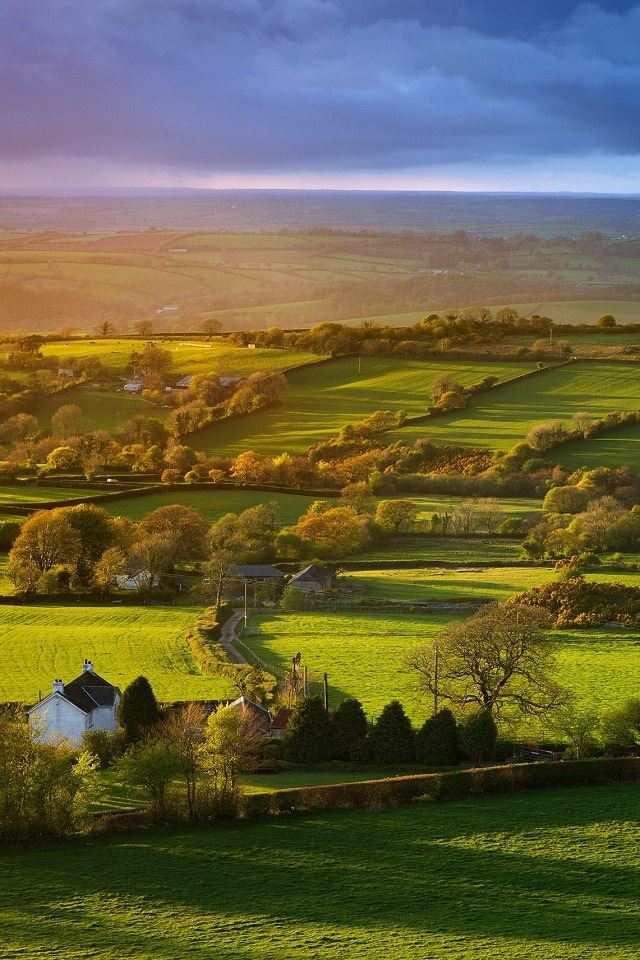 640x960 Farm Scenery - tree iPhone 4s Wallpaper