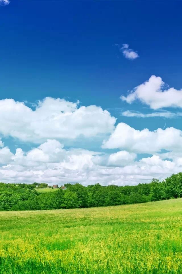 640x960 Paddy scenery - scenery iPhone 4s Wallpaper