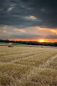 Farm harvest wallpaper