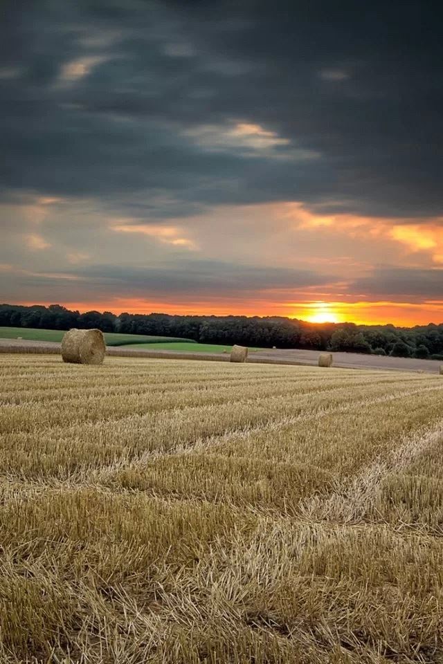 640x960 Farm harvest - gray iPhone 4s Wallpaper