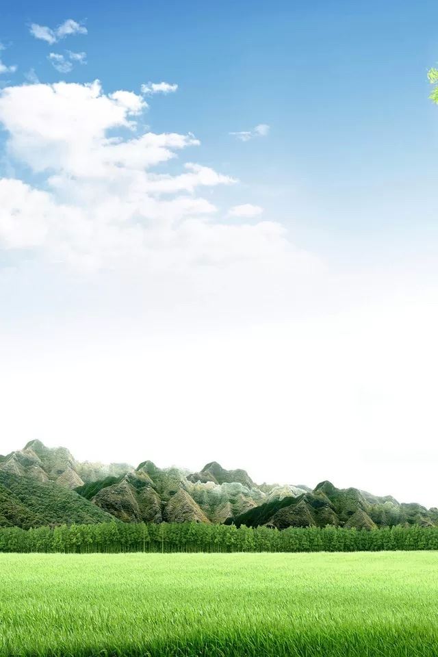 640x960 Field - tree iPhone 4s Wallpaper