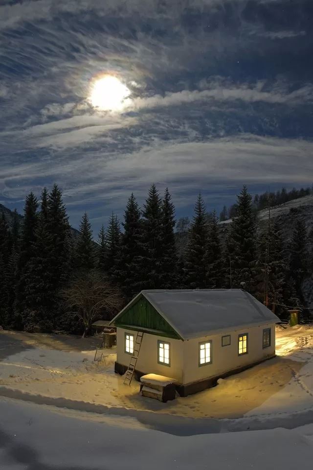 640x960 Snowy night - tree iPhone 4s Wallpaper