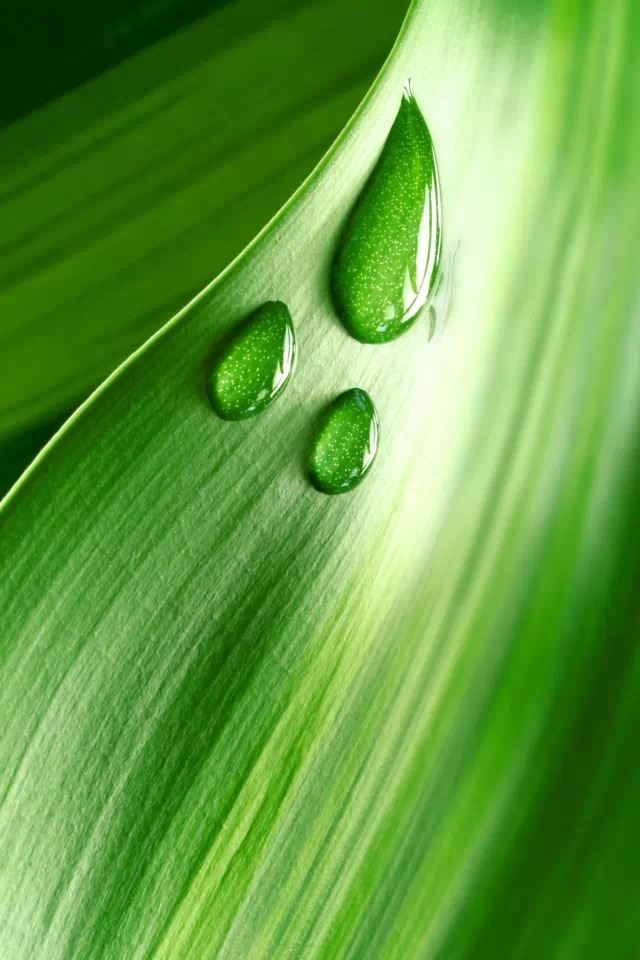 640x960 Water Drop - drop iPhone 4s Wallpaper