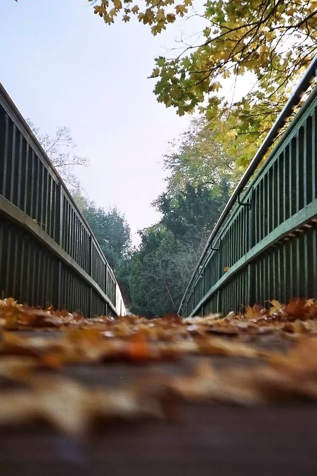 640x960 Bridge close up - bridge iPhone 4s Wallpaper
