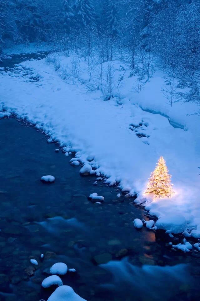 640x960 Riverside tree - snow iPhone 4s Wallpaper