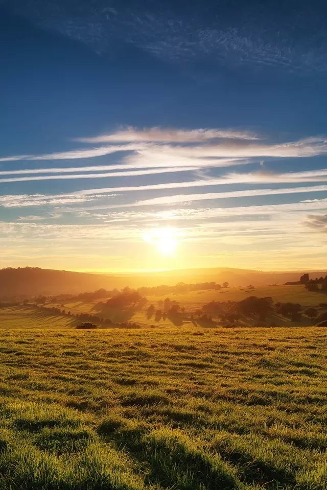 640x960 Prairie Sunrise - grass iPhone 4s Wallpaper