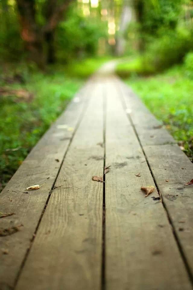 640x960 Boardwalk - bokeh iPhone 4s Wallpaper