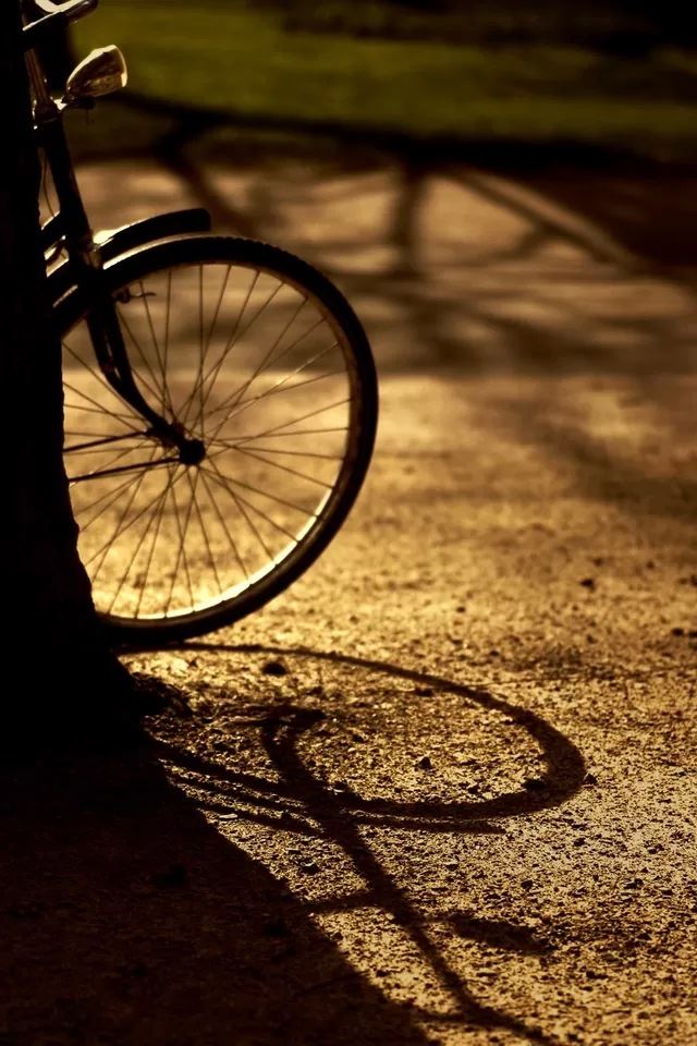 640x960 Bicycle - bicycle iPhone 4s Wallpaper