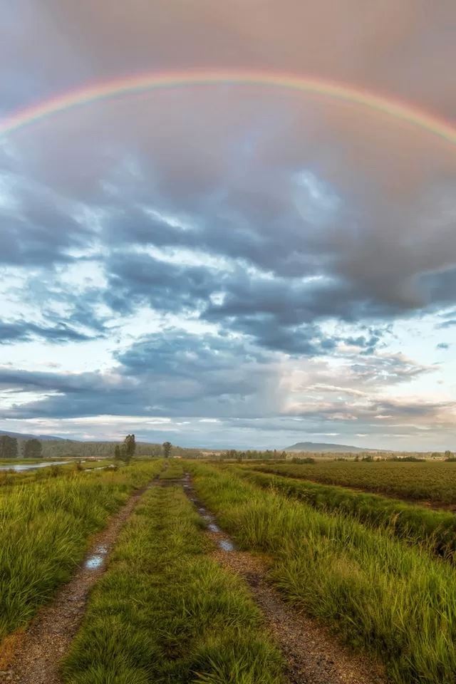 640x960 Rainbow - grass iPhone 4s Wallpaper