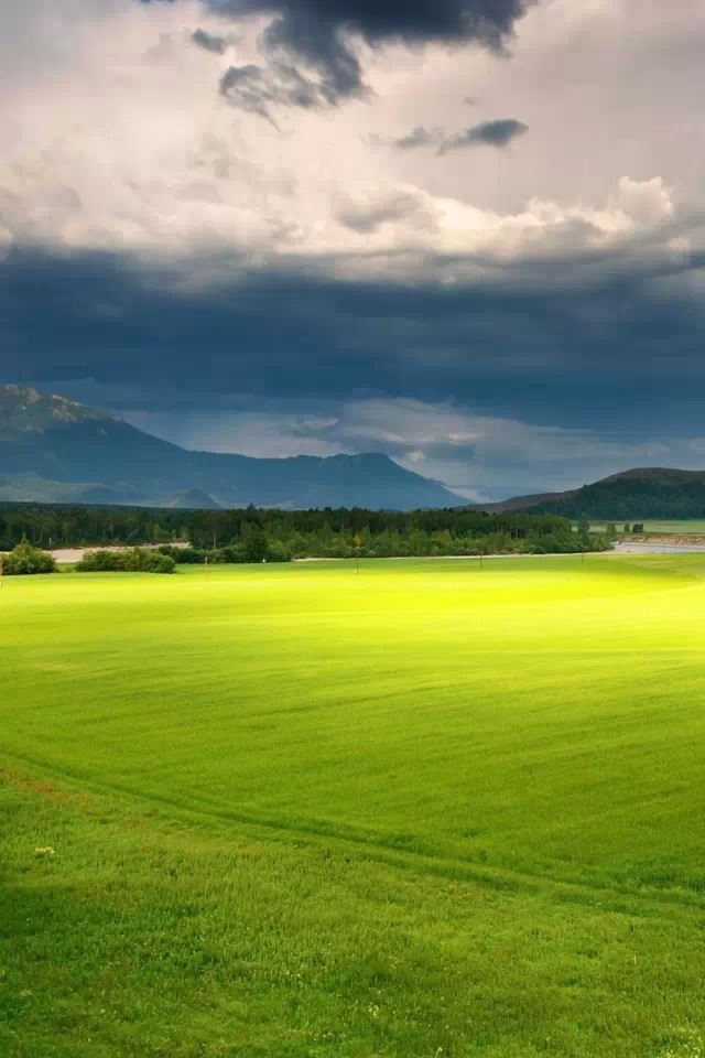 640x960 Grassland scenery - grassland iPhone 4s Wallpaper