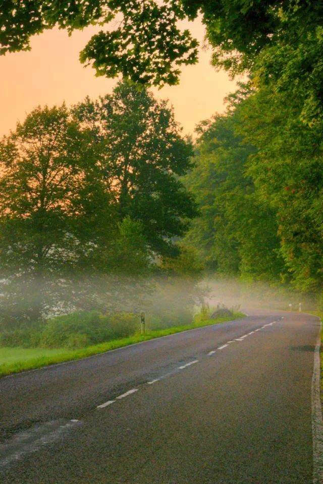 640x960 Forest road - forest iPhone 4s Wallpaper