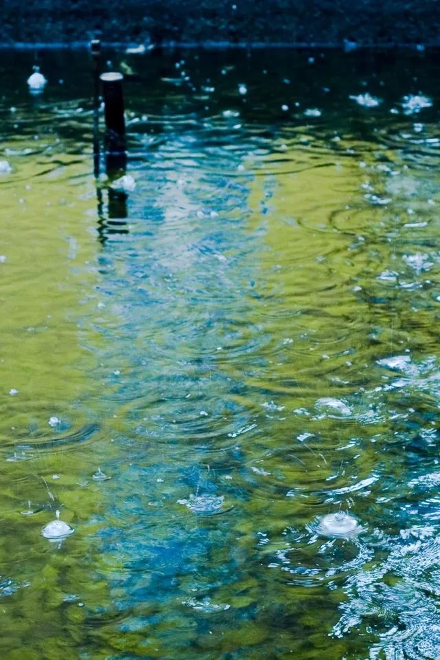 640x960 Rainwater - water iPhone 4s Wallpaper