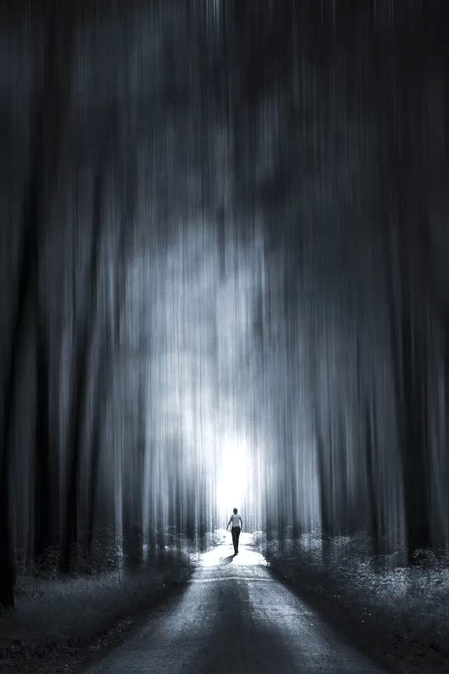 640x960 Misty Forest - forest iPhone 4s Wallpaper