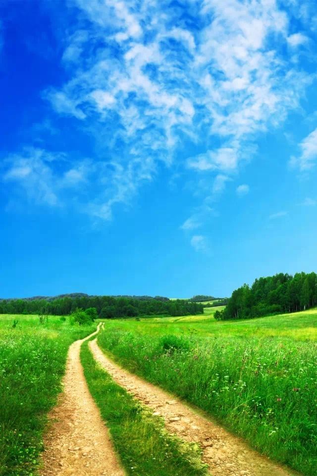 640x960 Road - grass iPhone 4s Wallpaper