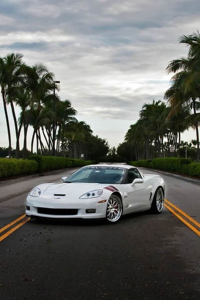 640x960 Chevrolet Corvette z06 - tree iPhone 4s Wallpaper