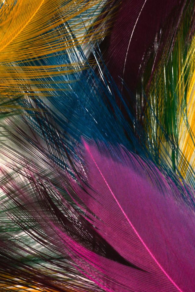 640x960 Colorful Backgrounds - beauty iPhone 4s Wallpaper