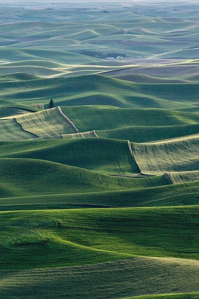 640x960 Washington Palouse landscape - grass iPhone 4s Wallpaper