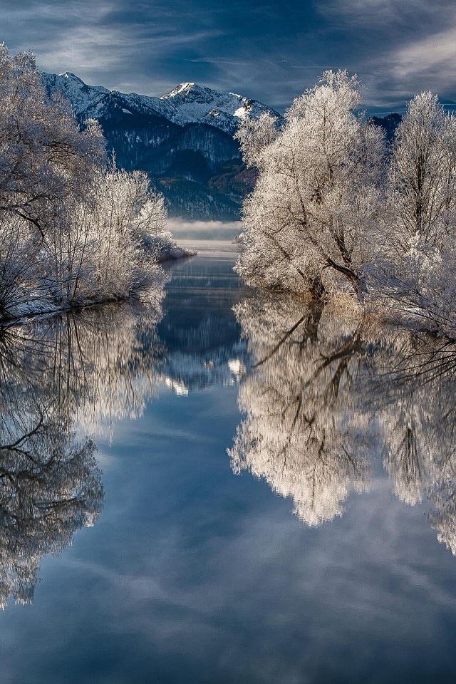 640x960 Snow tree reflection - tree iPhone 4s Wallpaper