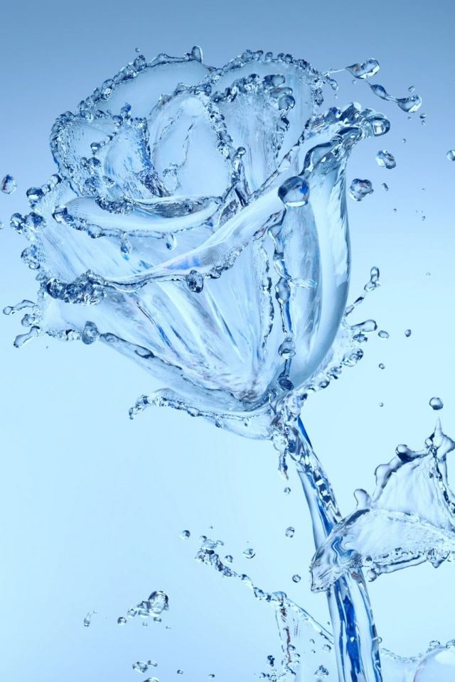640x960 Water Flowers - droplet iPhone 4s Wallpaper