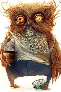 funny owl wallpaper wallpaper