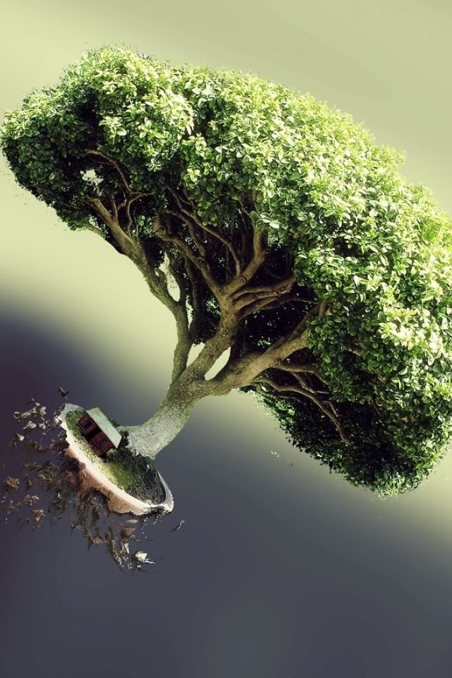 640x960 Tree Roots - branch iPhone 4s Wallpaper