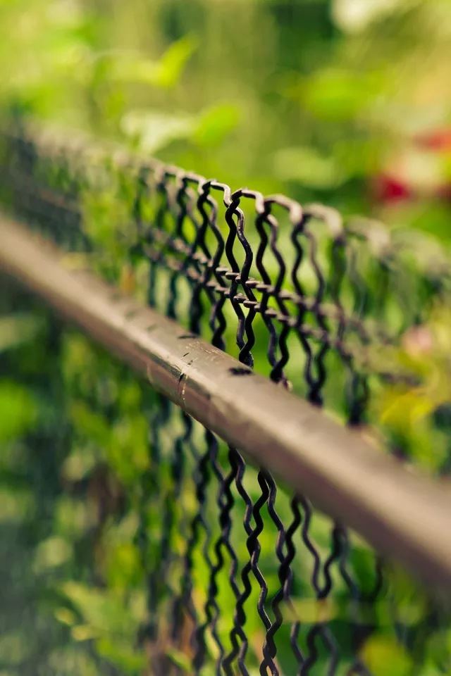 640x960 Fence close up - cyan iPhone 4s Wallpaper