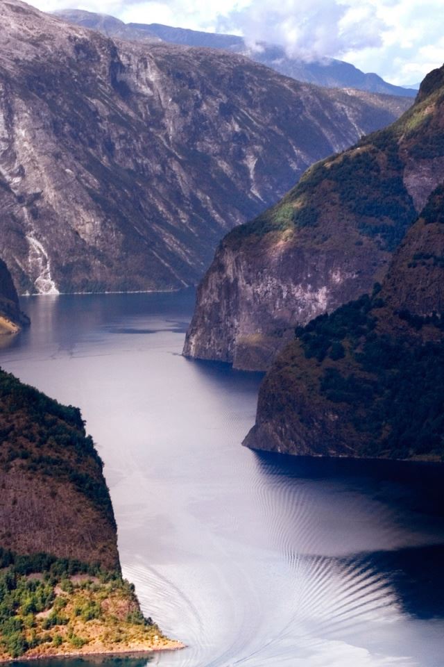 640x960 Wonderful Fjord - tree iPhone 4s Wallpaper