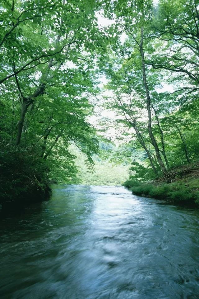 640x960 Spring river - spring iPhone 4s Wallpaper