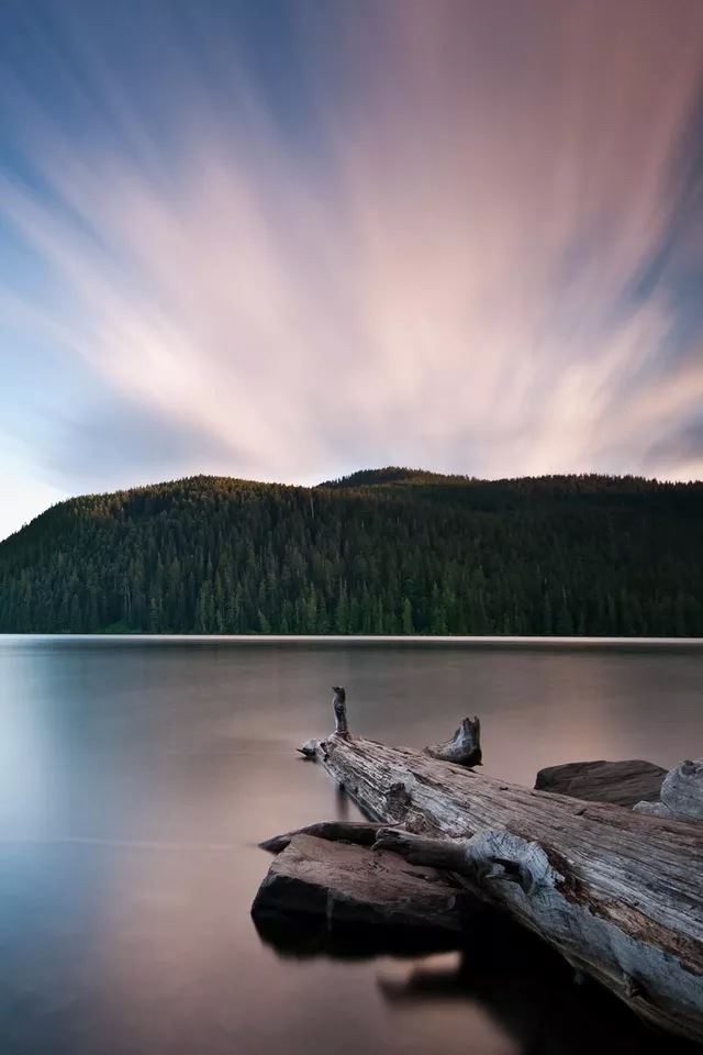 640x960 Lake driftwood - cyan iPhone 4s Wallpaper