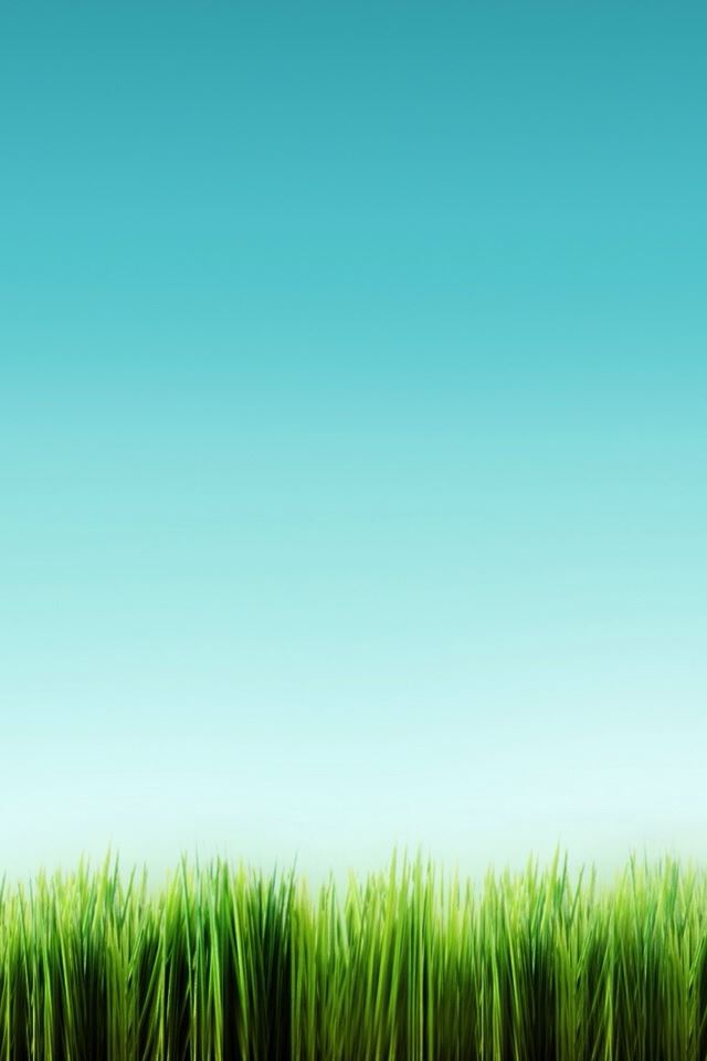 640x960 Minimalist Fantasy Grassland - grassland iPhone 4s Wallpaper