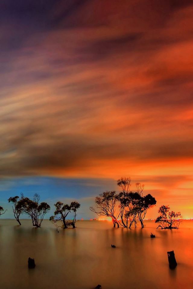 640x960 Trees In The Sea Artistic - orange iPhone 4s Wallpaper