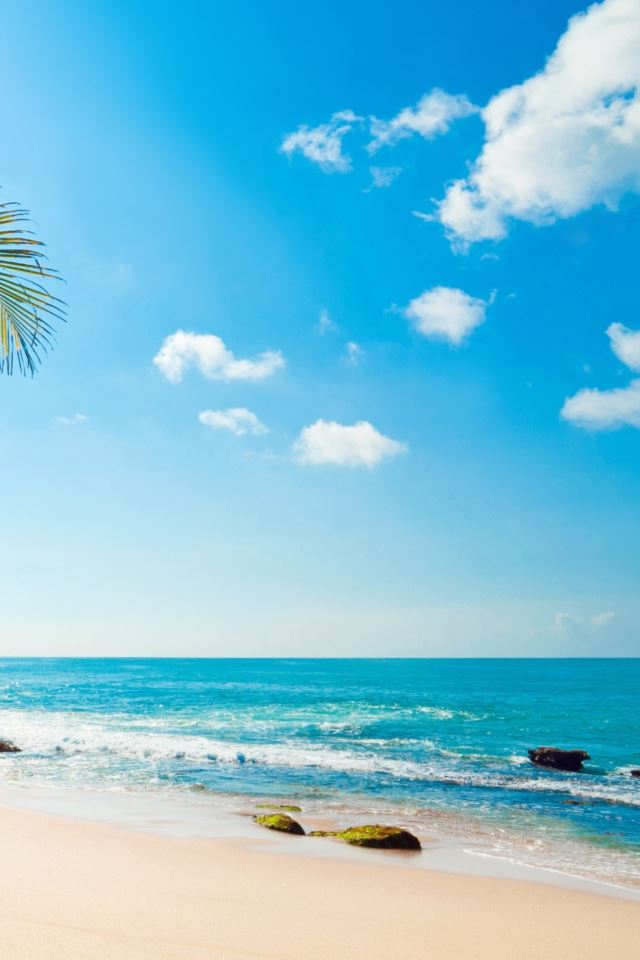 640x960 Tropical Sunshine - tropical iPhone 4s Wallpaper