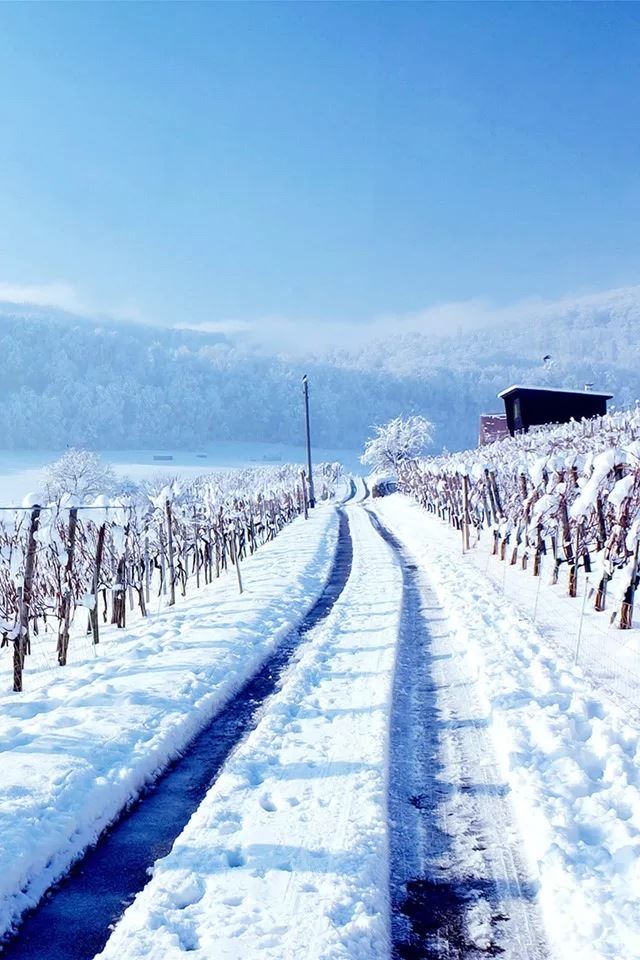 640x960 Snow road - fence iPhone 4s Wallpaper