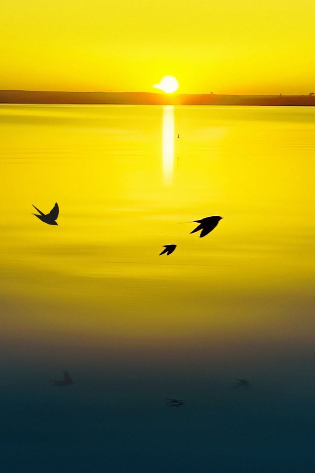 640x960 Gold Sunset - sun iPhone 4s Wallpaper