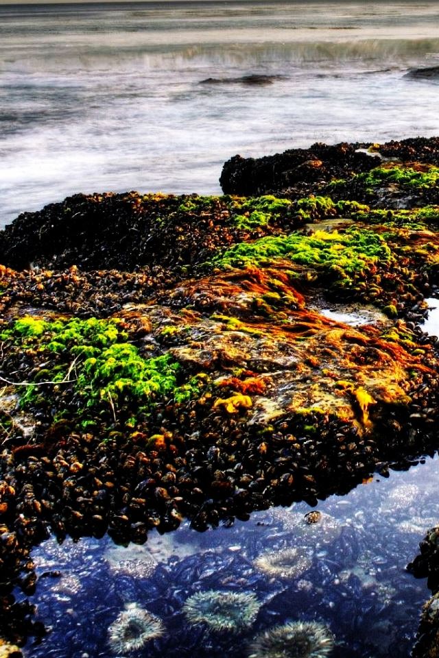 640x960 Pebbles Beach - beach iPhone 4s Wallpaper