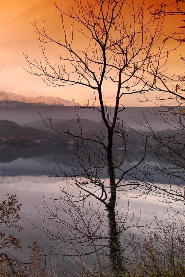 640x960 Sunset - tree iPhone 4s Wallpaper