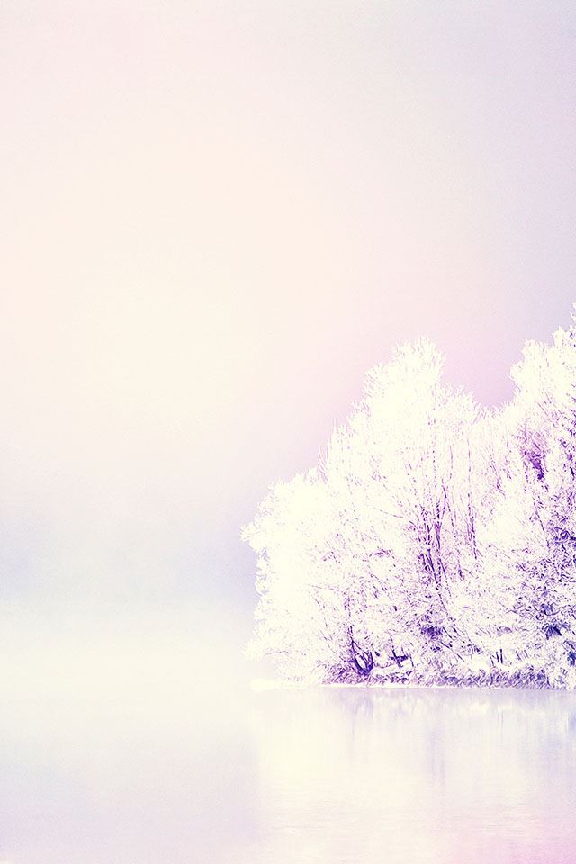 640x960 Pure Snowy World - ice iPhone 4s Wallpaper