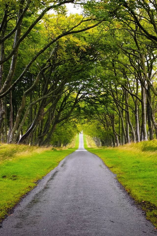 640x960 Scotland Landscape - sunshine iPhone 4s Wallpaper