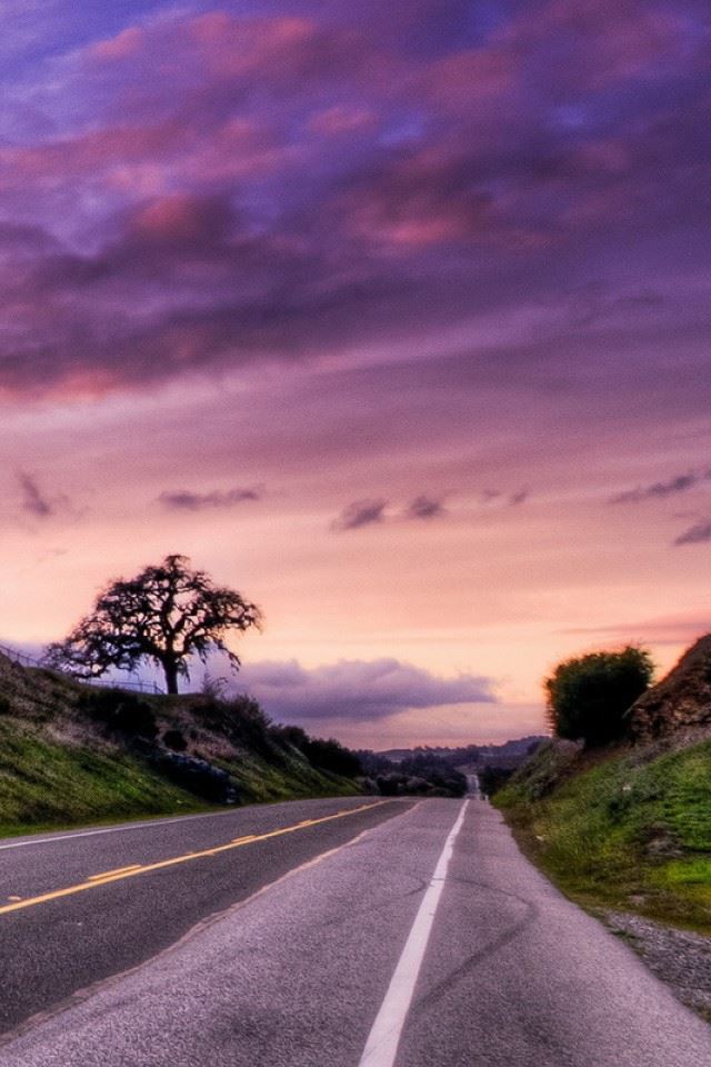 640x960 Sunset Road Landscape - grass iPhone 4s Wallpaper