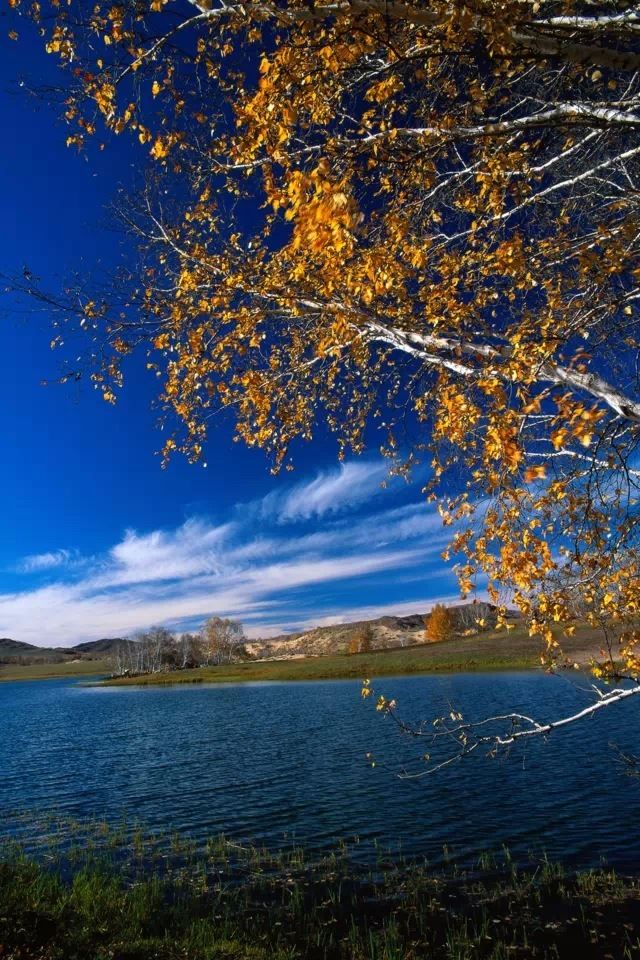 640x960 Natural landscape - natural iPhone 4s Wallpaper